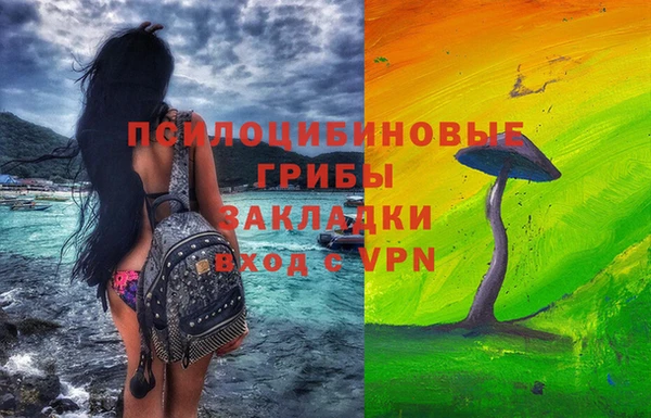 не бодяженный Арсеньев