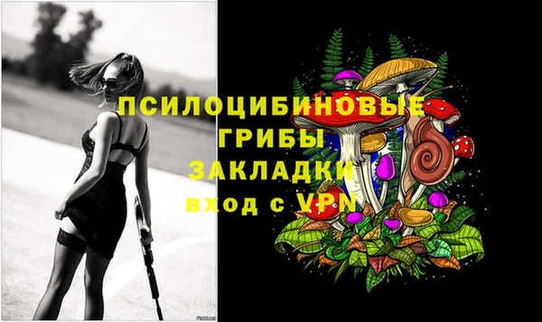 не бодяженный Арсеньев