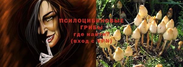 МДПВ Армянск