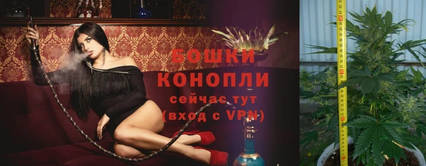гидропоника Новозыбков
